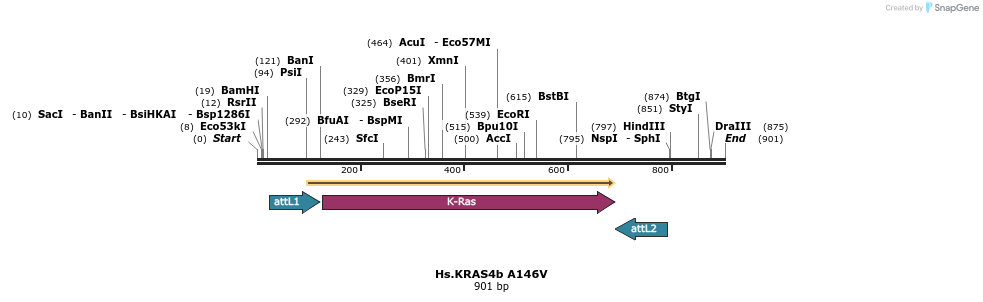 159049_map