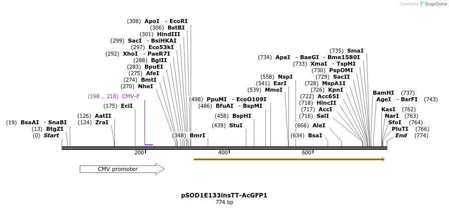 159052_map