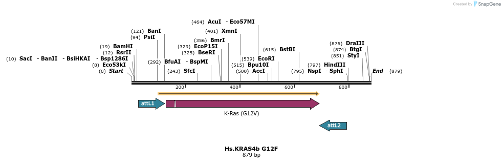 159054_map
