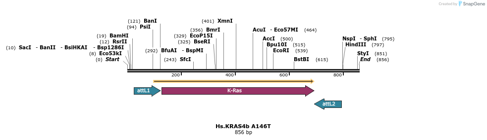 159057_map