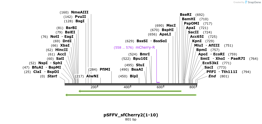 159060_map