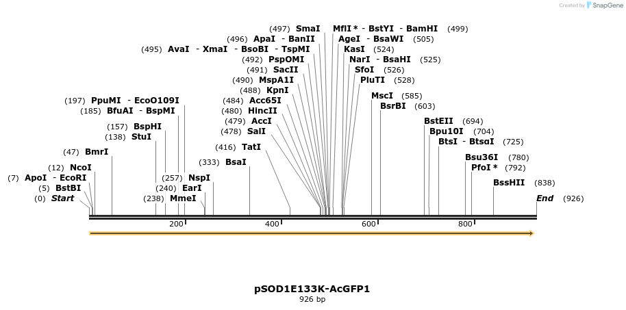 159064_map