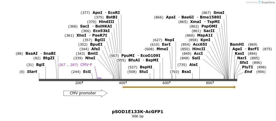 159065_map