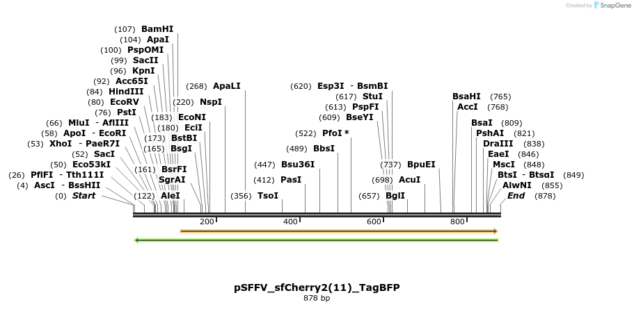 159067_map