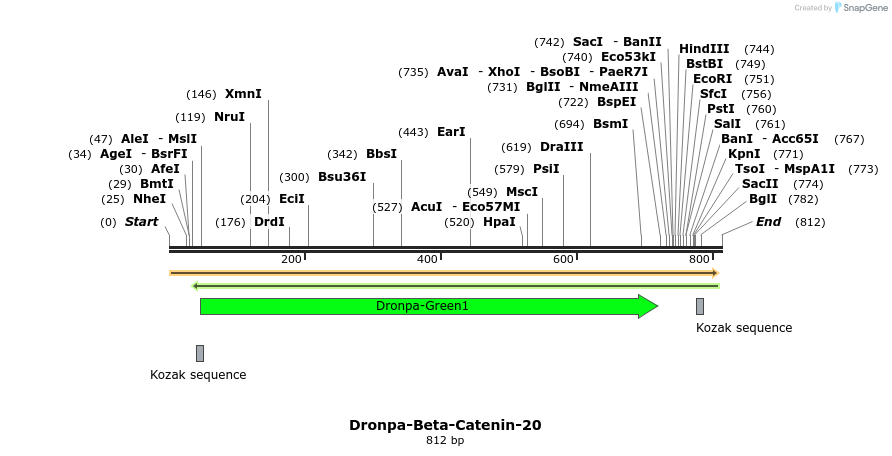 159074_map