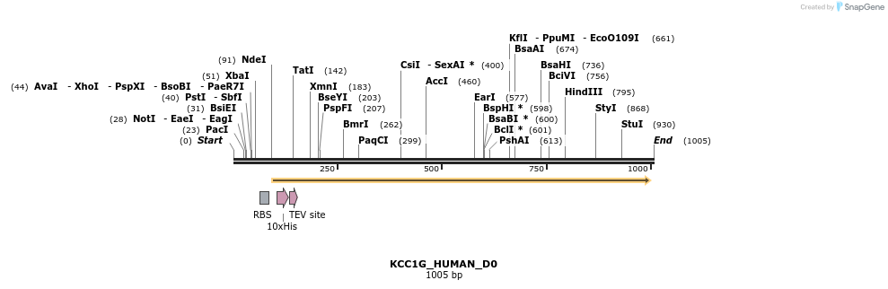 159082_map