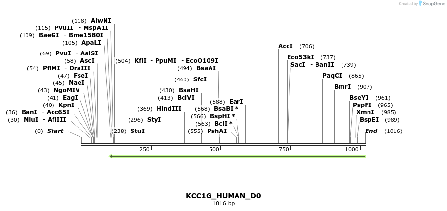 159083_map
