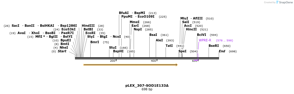 159085_map