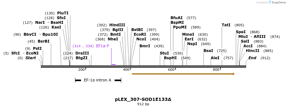 159086_map