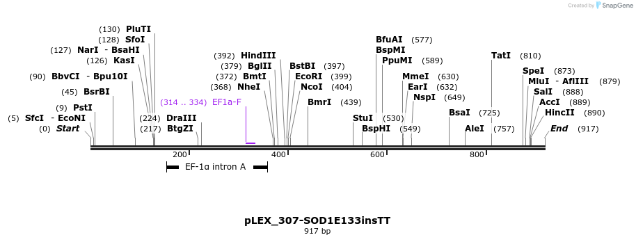 159089_map