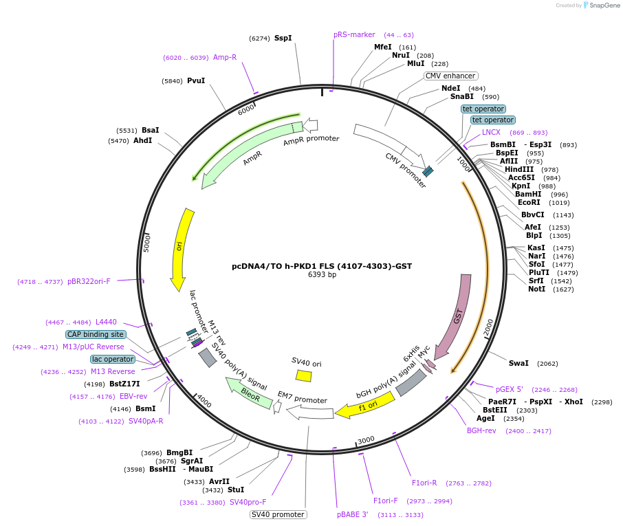 159104_map