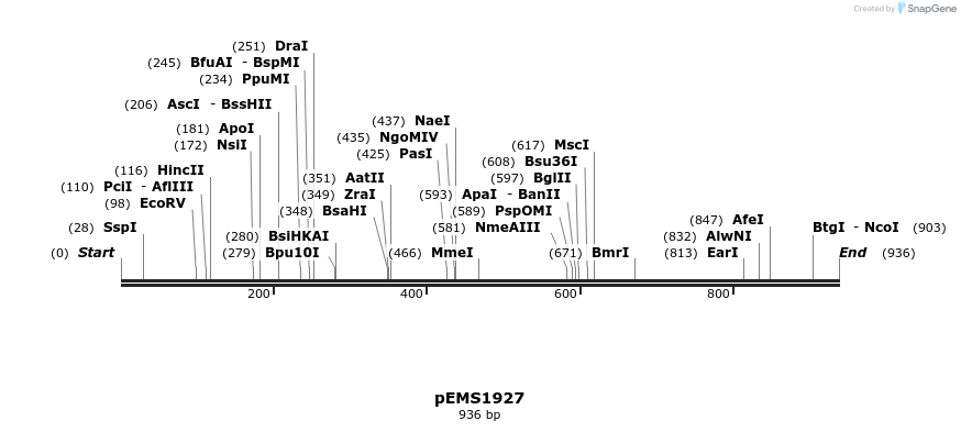 159116_map
