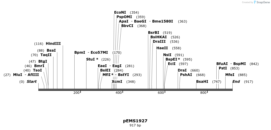 159117_map