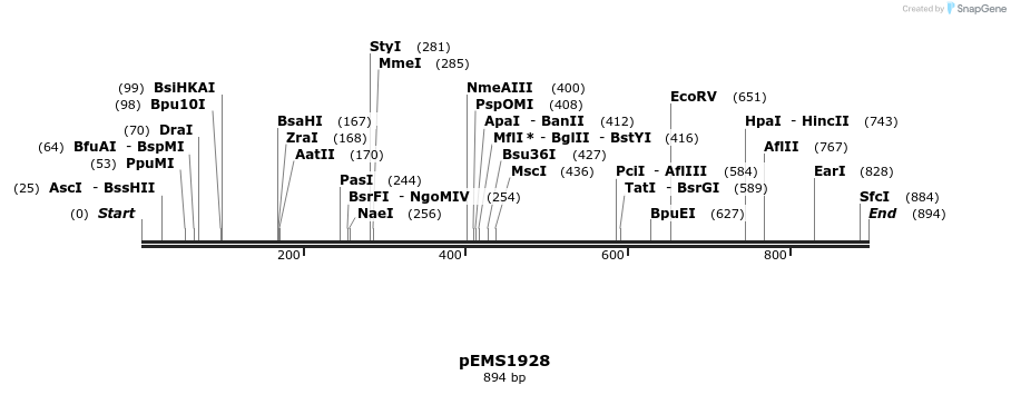 159118_map