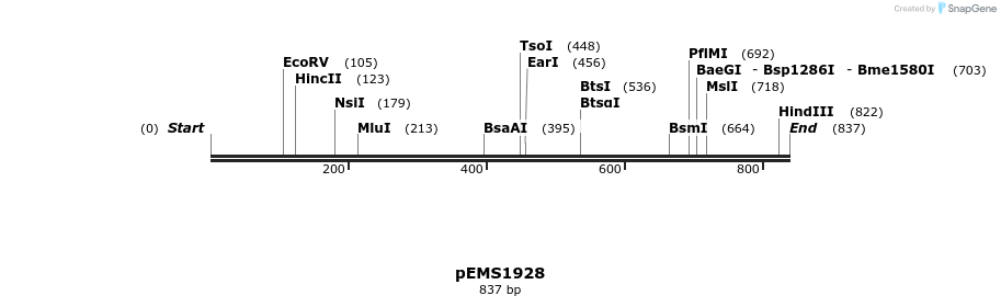 159119_map