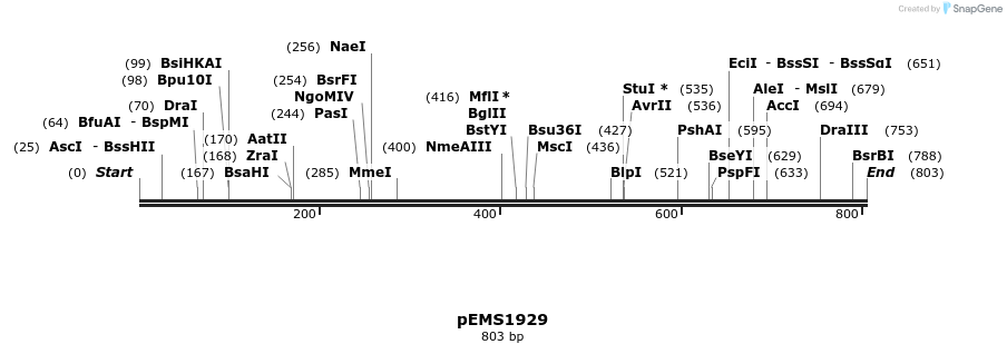 159120_map