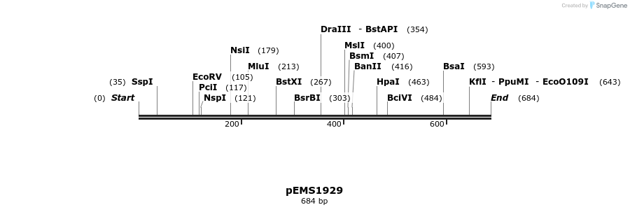 159121_map