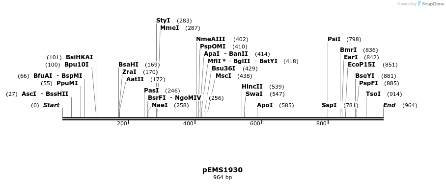 159122_map