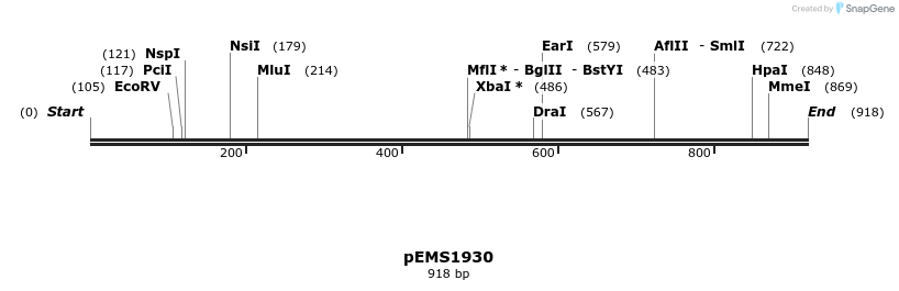 159123_map