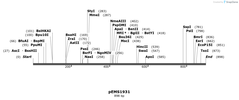 159124_map