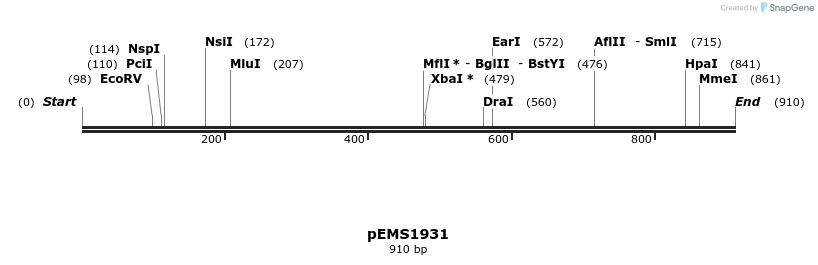 159125_map