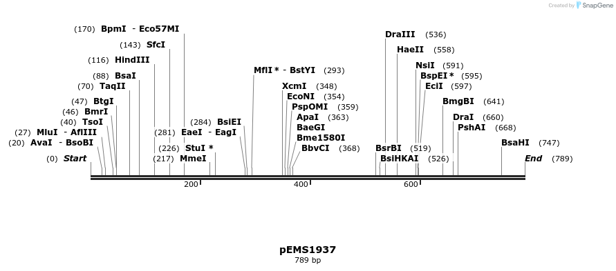 159128_map