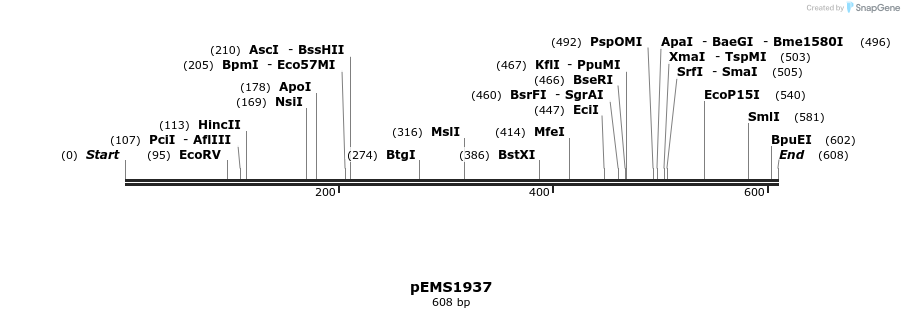 159129_map
