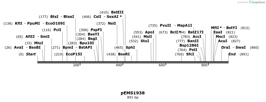 159132_map