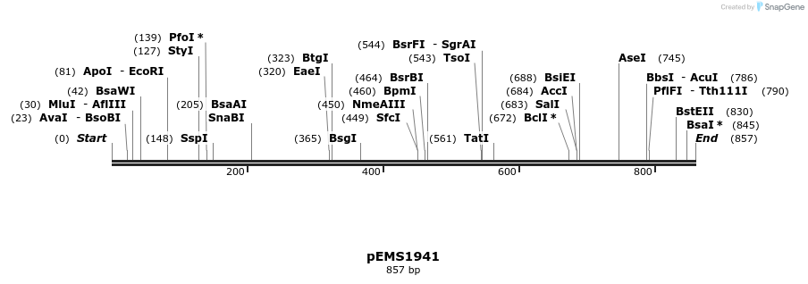 159134_map