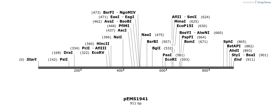 159135_map