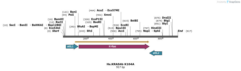 159141_map