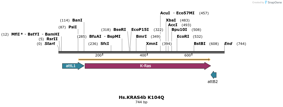 159142_map