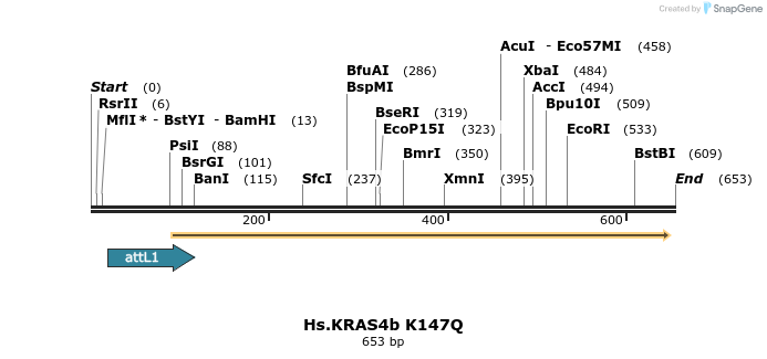159144_map
