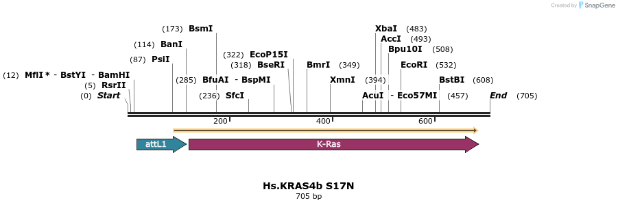 159145_map