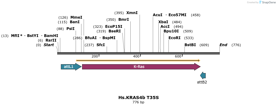 159146_map