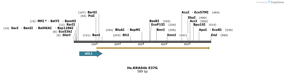 159150_map