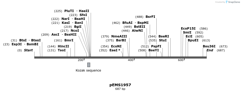 159151_map
