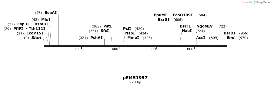 159152_map