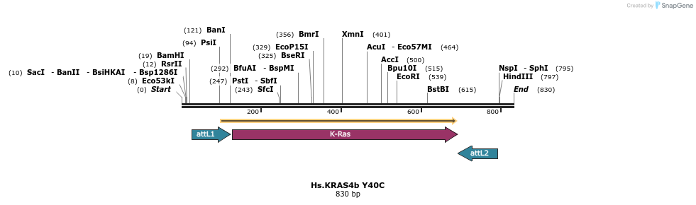 159153_map