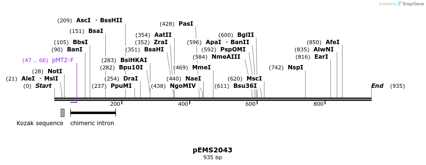159167_map