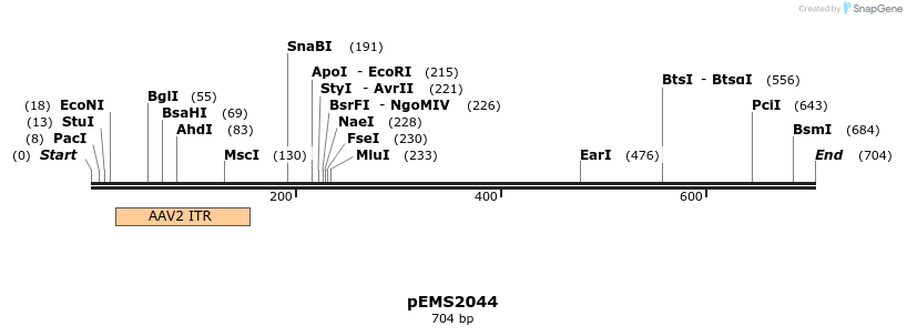159169_map