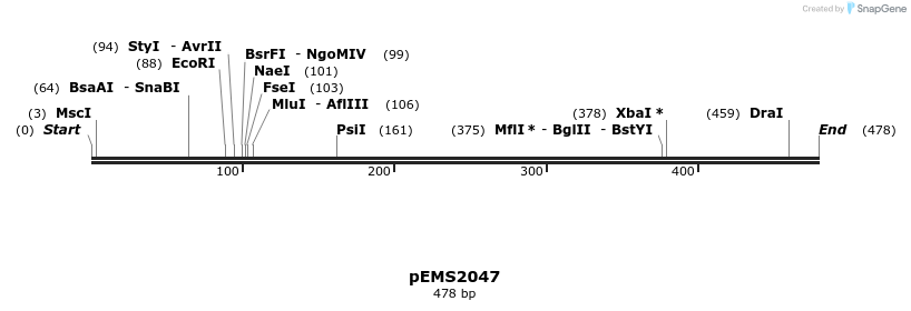 159175_map