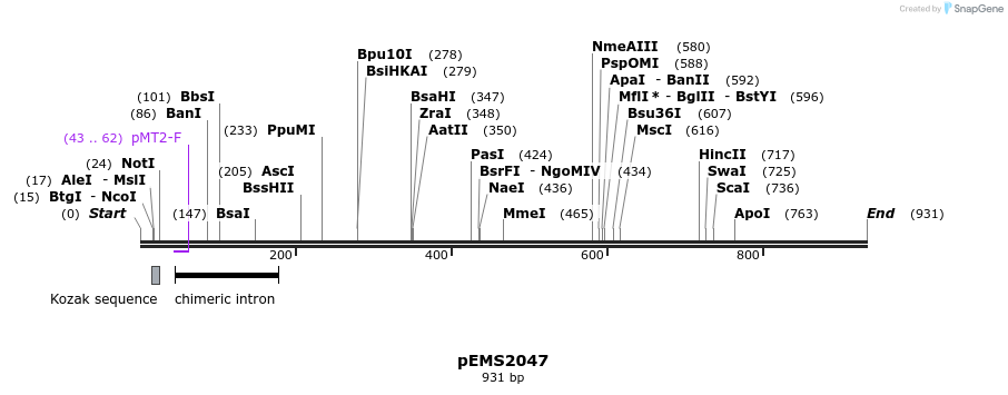 159176_map