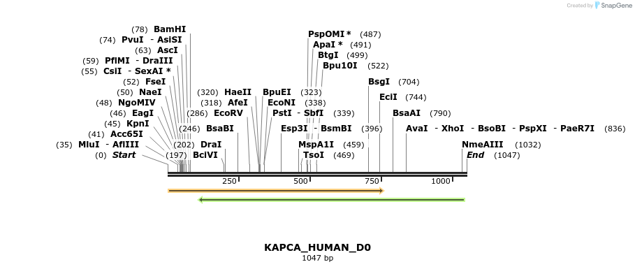 159177_map