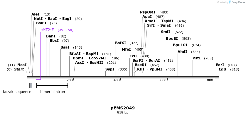 159181_map