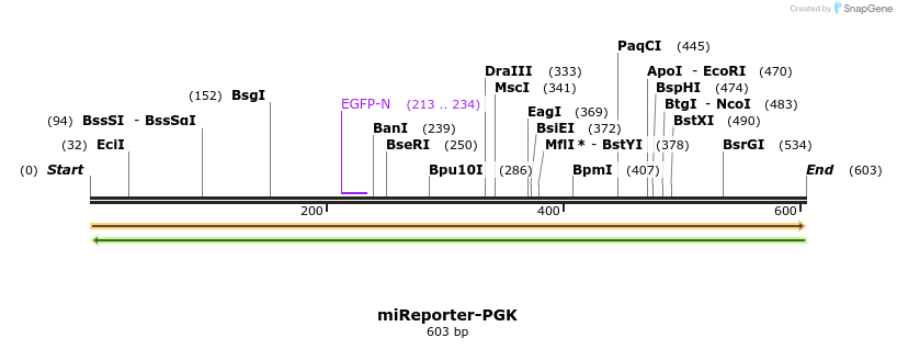 159186_map