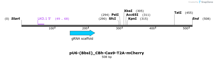 159190_map