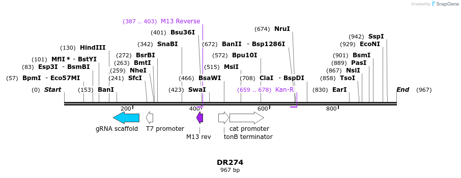 159191_map
