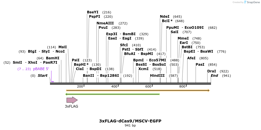 159197_map