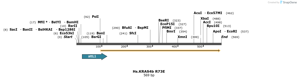 159203_map
